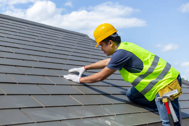 Best Roof Gutter Cleaning  in Hooper, NE