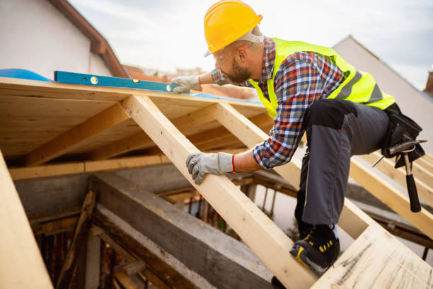 Best Roof Maintenance Services  in Hooper, NE